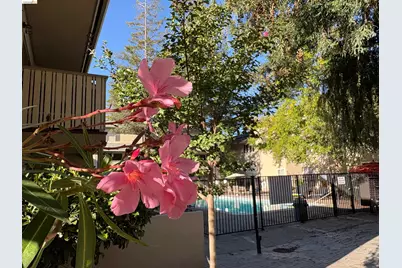 2704 Oak Rd #75, Walnut Creek, CA 94597 - Photo 46