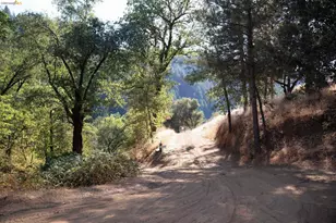 2883 Railroad Flat Rd, Wilseyville, CA 95257 - Photo 22