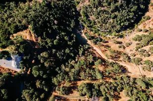 2883 Railroad Flat Rd, Wilseyville, CA 95257 - Photo 76