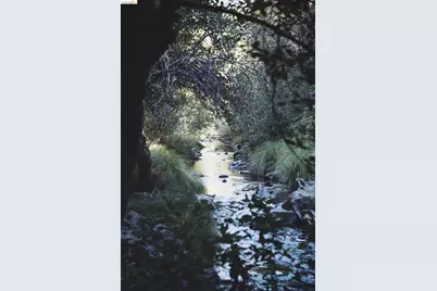 2883 Railroad Flat Rd, Wilseyville, CA 95257 - Photo 12