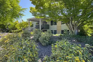 3349 Golden Rain Rd, Walnut Creek, CA 94595 - Photo 38
