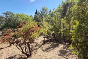 1591 Green Valley Rd, Danville, CA 94526 - Photo 14
