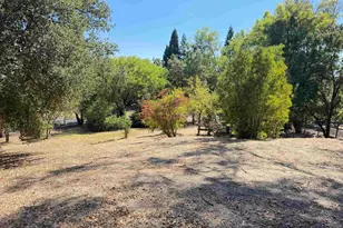 1591 Green Valley Rd, Danville, CA 94526 - Photo 12