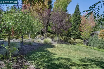 1804 Wales, Walnut Creek, CA 94595 - Photo 34