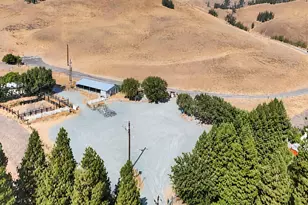 1890 Green Valley Rd, Alamo, CA 94507 - Photo 70