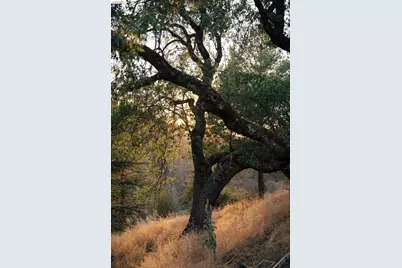 2883 Railroad Flat Rd, Wilseyville, CA 95257 - Photo 42