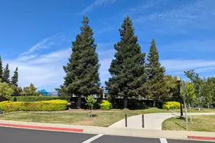 1455 Paradise Ln, Brentwood, CA 94513 - Photo 34