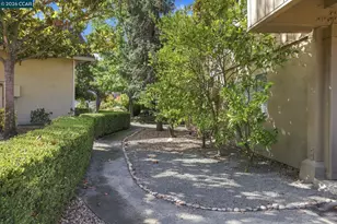 1138 Skycrest Dr, Walnut Creek, CA 94595 - Photo 30