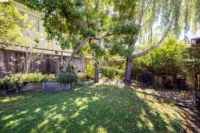 2024 Cedar St, Berkeley, CA 94709 - Photo 34