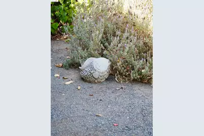 1225 57th, Richmond, CA 94804 - Photo 18