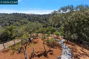 809 Mountain View Dr, Lafayette, CA 94549 - Photo 64