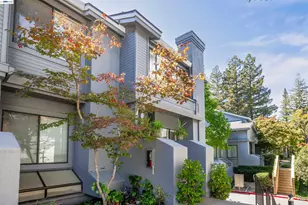 1655 Geary Rd, Walnut Creek, CA 94597 - Photo 2