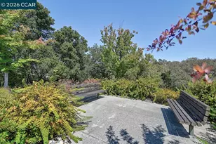 506 Quail Hill Ct, Walnut Creek, CA 94595 - Photo 52