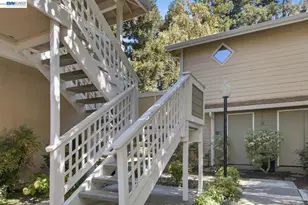 2627 Oak Rd, Walnut Creek, CA 94597 - Photo 24