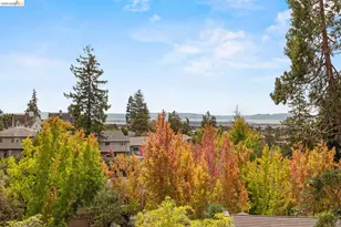 21 Selborne Dr, Piedmont, CA 94611 - Photo 80