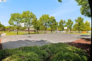 3694 Otter Brook Loop, Discovery Bay, CA 94505 - Photo 30