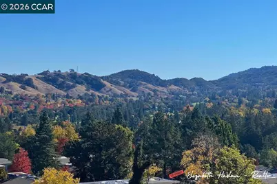 2877 Ptarmigan Dr #2, Walnut Creek, CA 94595 - Photo 44
