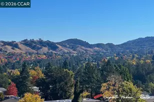 2877 Ptarmigan Dr, Walnut Creek, CA 94595 - Photo 44
