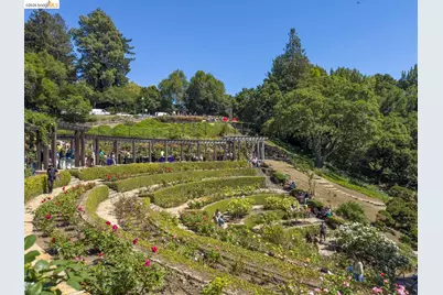 1668 Arch St, Berkeley, CA 94709 - Photo 76