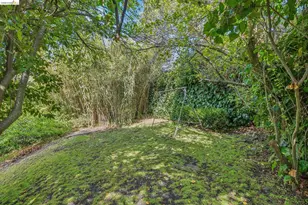 6334 Kensington Ave, Richmond, CA 94805 - Photo 66
