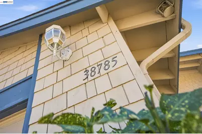 38785 Altura St, Fremont, CA 94536 - Photo 4