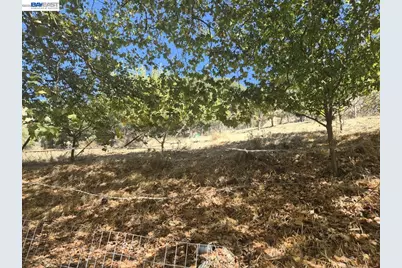0 Garin Ave, Hayward, CA 94544 - Photo 6