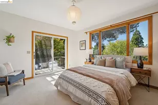 155 Avenida Dr, Berkeley, CA 94708 - Photo 54