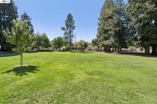 24 Velasco Ct, Danville, CA 94526 - Photo 32