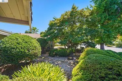 38660 Moore Dr, Fremont, CA 94536 - Photo 32