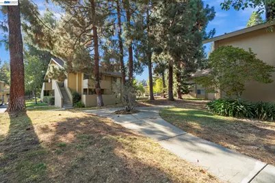 46908 Fernald Cmn, Fremont, CA 94539 - Photo 30