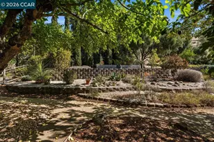 418 Marshall Dr, Walnut Creek, CA 94598 - Photo 40