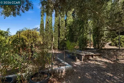 418 Marshall Drive, Walnut Creek, CA 94598 - Photo 50