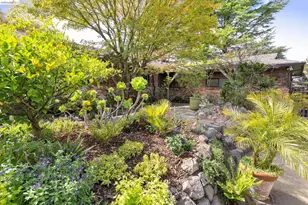 22 Kensington Ct, Kensington, CA 94707 - Photo 44