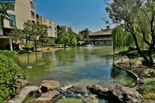 470 Civic Dr, Walnut Creek, CA 94596 - Photo 42