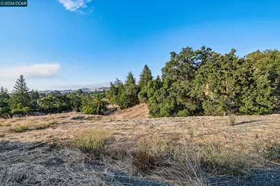1800 Del Rey St, Lafayette, CA 94549 - Photo 22