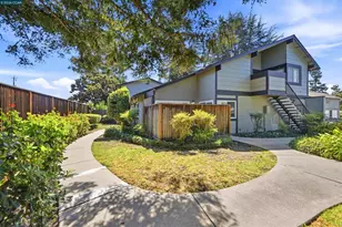 46824 Fernald St, Fremont, CA 94539 - Photo 30