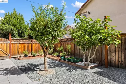 255 Bella Serata Ave, Mountain House, CA 95391 - Photo 46