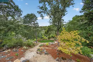 691 Old Jonas Hill Rd, Lafayette, CA 94549 - Photo 42