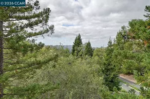 5910 Horsemans Canyon Dr, Walnut Creek, CA 94595 - Photo 18