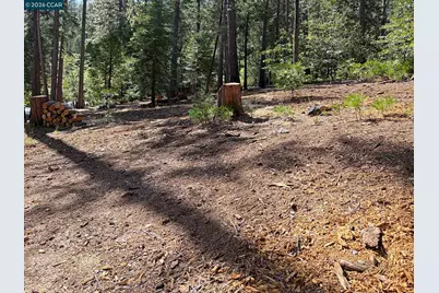 2346 Black Oak Dr, Arnold, CA 95223 - Photo 32