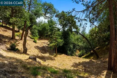 34 La Campana Rd, Orinda, CA 94563 - Photo 26