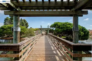 114 Lagunaria Ln, Alameda, CA 94502 - Photo 54