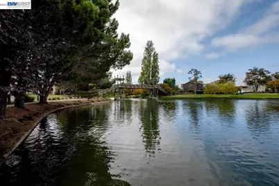 114 Lagunaria Ln, Alameda, CA 94502 - Photo 52