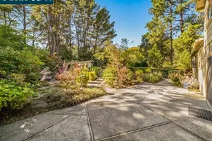 550 Catanio Ct, San Ramon, CA 94583 - Photo 44