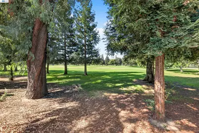 439 Golf Circle, Manteca, CA 95337 - Photo 36