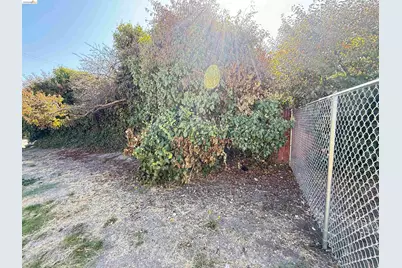Olive St, Oakland, CA 94603 - Photo 4