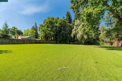 81 Jackson Way, Alamo, CA 94507 - Photo 6