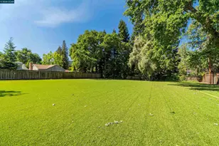 81 Jackson Way, Alamo, CA 94507 - Photo 6