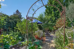 3425 Canfield Dr, Danville, CA 94526 - Photo 62