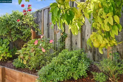 4485 Clear Creek Ct, Concord, CA 94521 - Photo 28